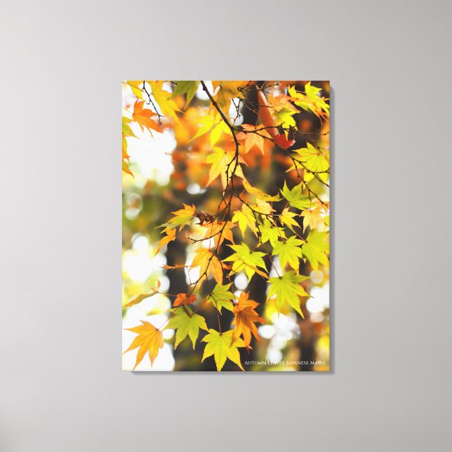 Impressão Em Tela Autumn Leaves [Canvas Print] (Frente)