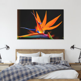 Impressão Em Tela Ave Flamboyant da Flor do Paraíso