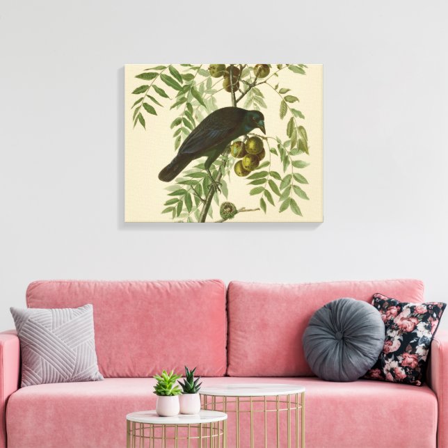 Impressão Em Tela Ave Negra Americana da Audubon (Insitu(Sala de estar))
