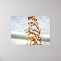 Aveia do Mar, Brisa do Mar