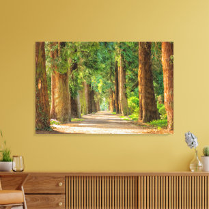 Impressão Em Tela Avenida Gorda das Sequoias Vermelhas