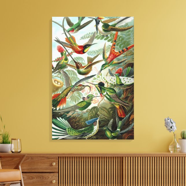 Impressão Em Tela Aves-humanos por Ernst Haeckel, Árvores de Aves Vi (Insitu(Sala de estar))