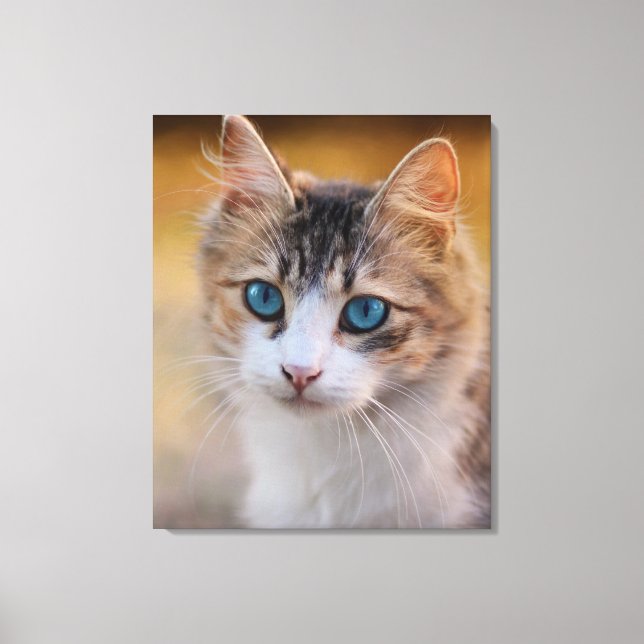 Impressão Em Tela Azul - Gato Olhado (Frente)