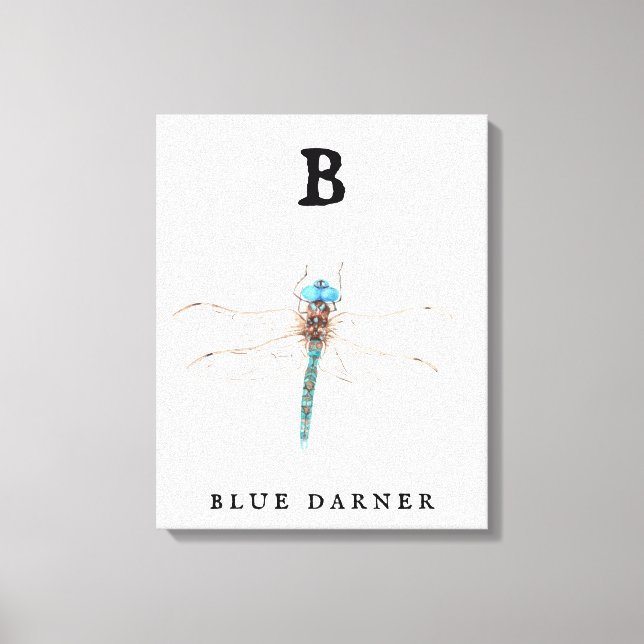 Impressão Em Tela "B" Blue Darner (Frente)