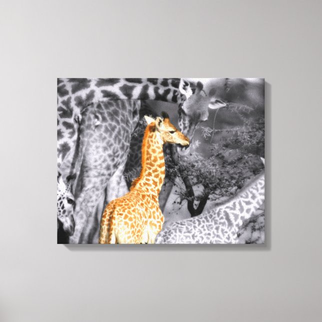 Impressão Em Tela Baby Giraffe (Frente)