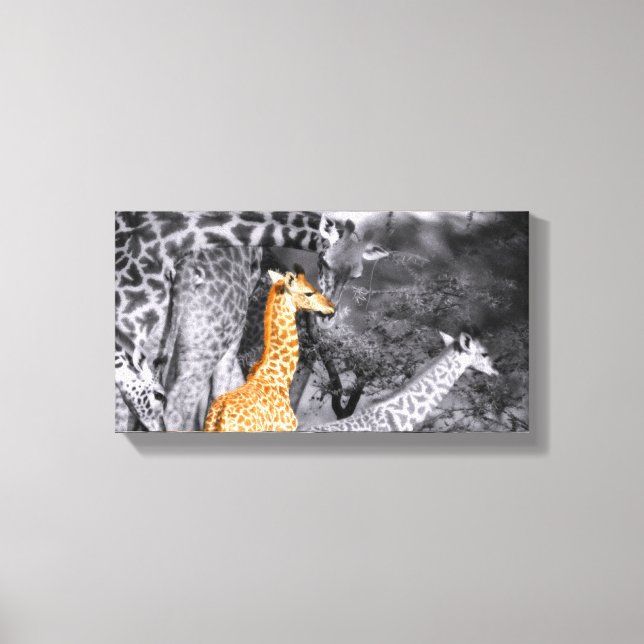 Impressão Em Tela Baby Giraffe (Frente)