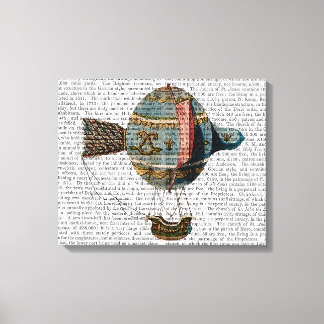 Impressão Em Tela Balão De Ar Quente Com Pé De Cauda (Frente)