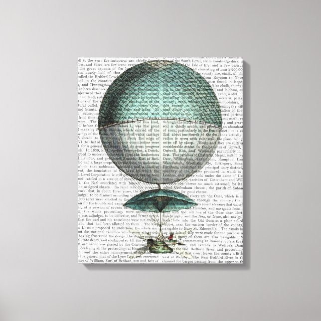 Impressão Em Tela Balão de Ar Quente Volante de Vaisseau (Frente)