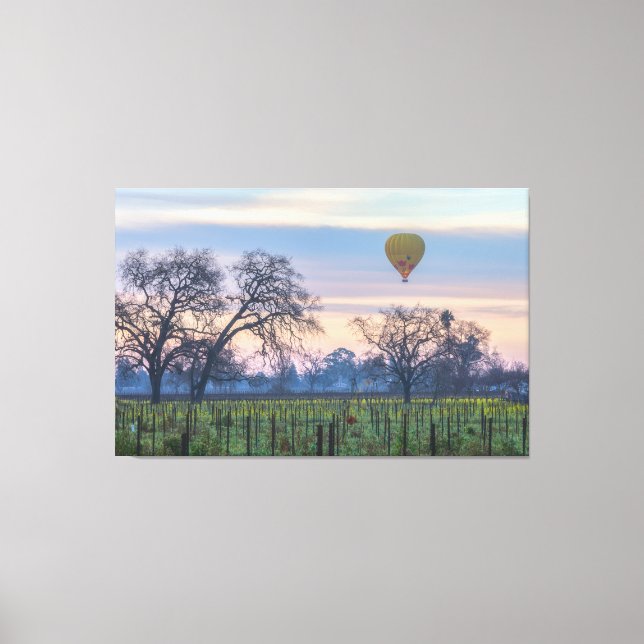 Impressão Em Tela Balão de ar sobre Vineyard (Frente)