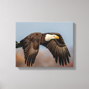 Impressão Em Tela Bald Eagle em voo