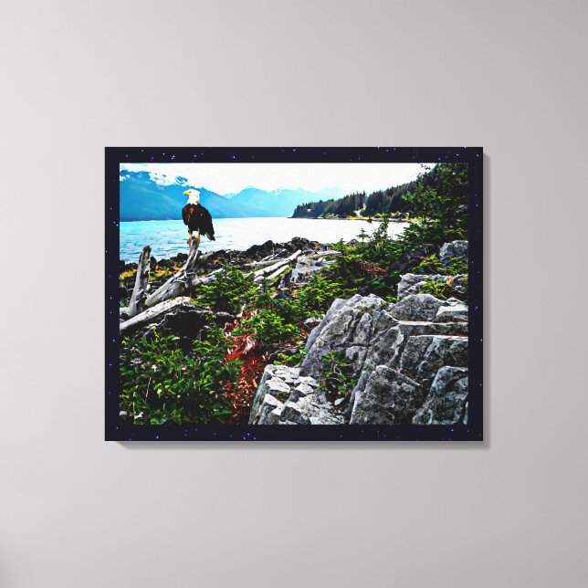 Impressão Em Tela Bald Eagle Na Costa Do Alasca (Frente)