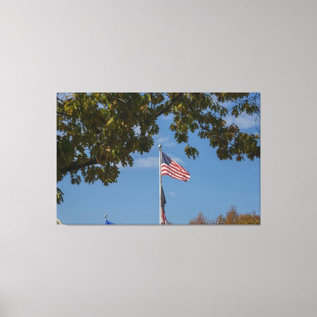 Impressão Em Tela Bandeira Americana (Frente)