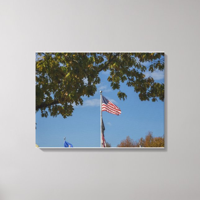 Impressão Em Tela Bandeira Americana (Frente)