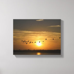 Impressão Em Tela Bando de Herões no pôr do sol