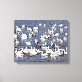 Impressão Em Tela Bando de Neve na Praia
