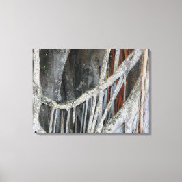 Impressão Em Tela Banyan Tree Closeup Foto