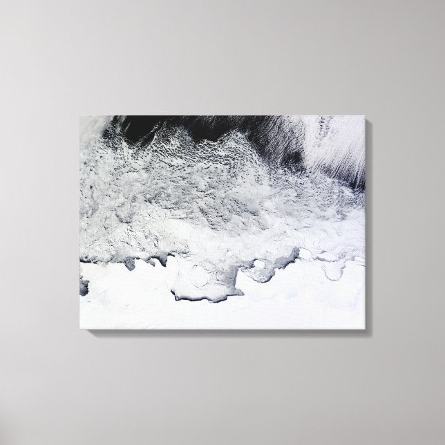 Impressão Em Tela Banzare, Sabrina e Costas, Antártica (Frente)