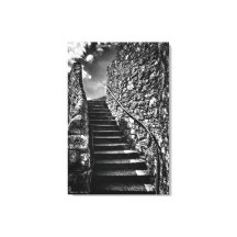 Bárbaro Steps, belas artes, preto e branco