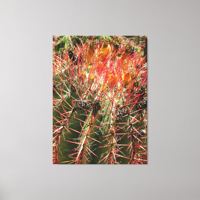 Impressão Em Tela Barrel Cactus (Frente)