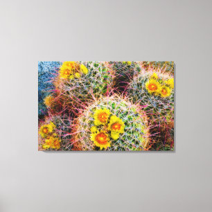 Impressão Em Tela Barrel cactus perto, Califórnia