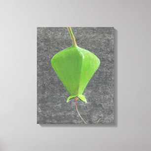 Impressão Em Tela Barringtonia Acutangula