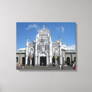 Impressão Em Tela Basílic a em Cartago, Costa Rica
