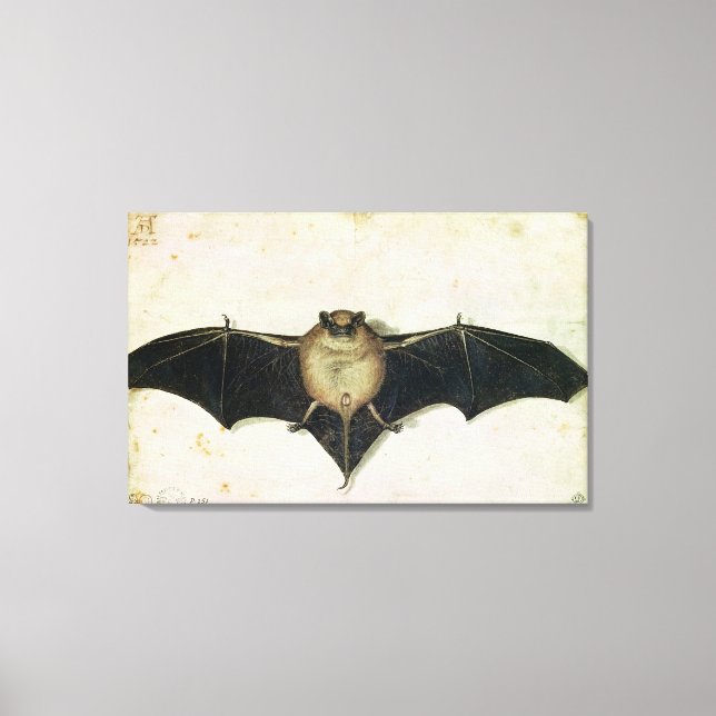 Impressão Em Tela Bat, 1522 (Frente)