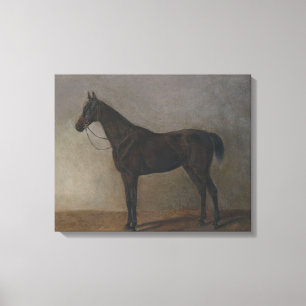 Impressão Em Tela Bay Gelding Horse (por Albrecht Adam)