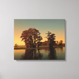 Impressão Em Tela Bayou da Louisiana e ciprestes