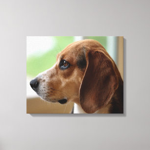 Impressão Em Tela Beagle Sonhador