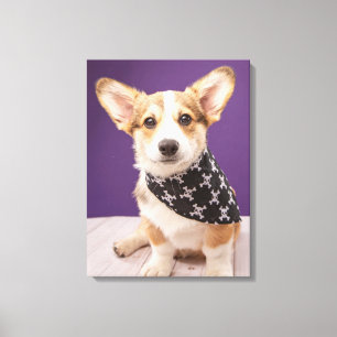 Impressão Em Tela Bebês Mais Pobres   Corgi Puppy Skull Bandana