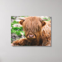 Bebês Mais Pobres | Fava de Vaca do planalto