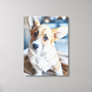 Impressão Em Tela Bebês Mais Pobres Inclinação da cabeça de Corgi