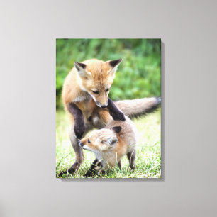 Impressão Em Tela Bebês Mais Pobres   Kit Fox Adorável e Mama