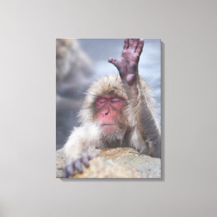Impressão Em Tela Bebês Mais Pobres Tecido macaco-neve