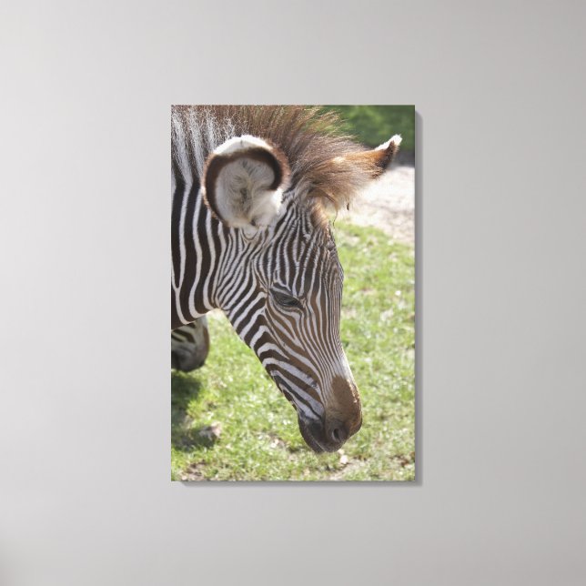 Impressão Em Tela Bedfordshire, Inglaterra (Frente)