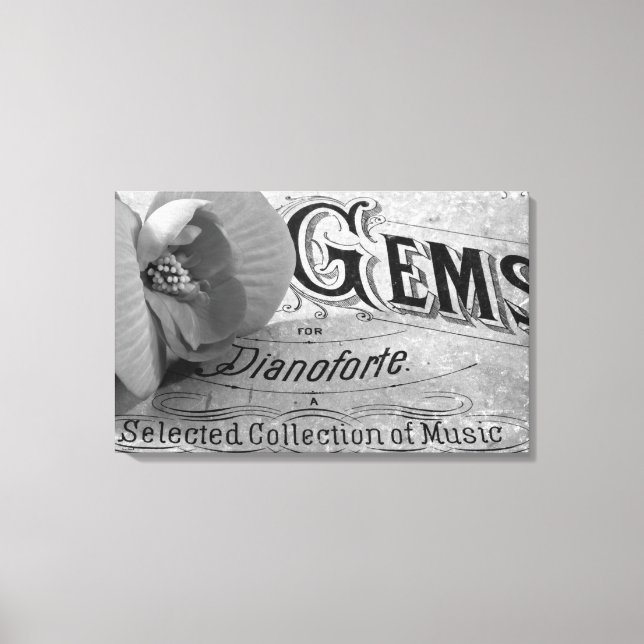 Impressão Em Tela Begonia Gems Pianoforte (Frente)