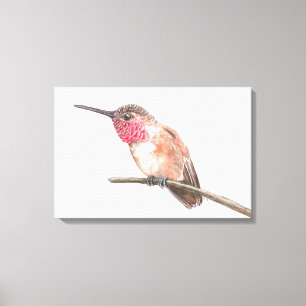 Impressão Em Tela Beija-flor aquarela