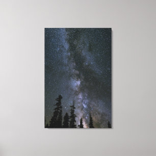 Impressão Em Tela Bela Cosmos