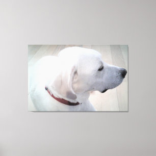 Impressão Em Tela Bela Foto do Perfil do Cachorro Mistura de Labrado