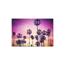 Bela Prisão de Palmeira Sunset