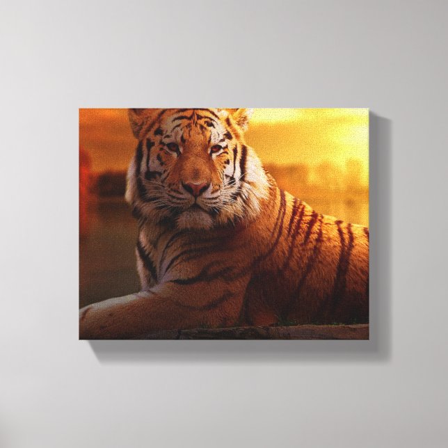Impressão Em Tela Bela Tigre (Frente)