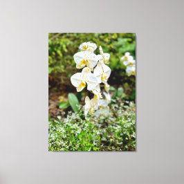 Impressão Em Tela Beleza de Orquídea