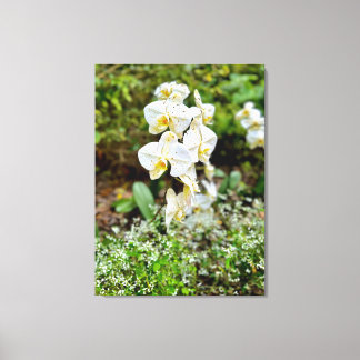 Impressão Em Tela Beleza de Orquídea
