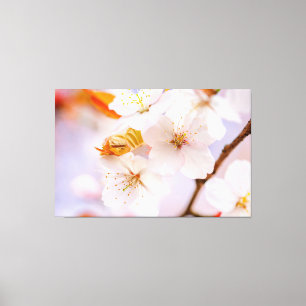 Impressão Em Tela Beleza Inacreditável Das Flores Sakura Na Primaver