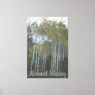 Impressão Em Tela Beleza Natural Birch Branco