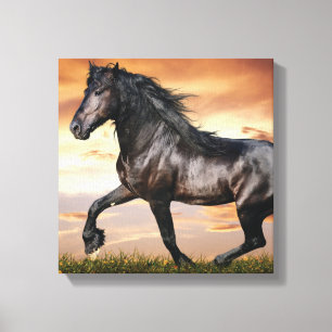 Impressão Em Tela Belo Cavalo Negro