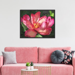 Impressão Em Tela Belo Pink Peony Bloom Floral