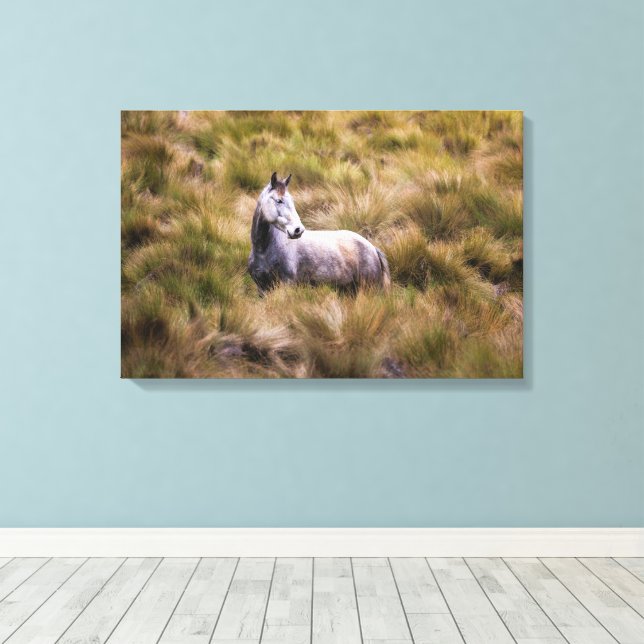 Impressão Em Tela Belo Poster de Cavalo de Praia Branca (Insitu(piso de madeira))