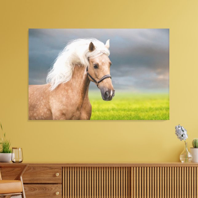 Impressão Em Tela Belo Retrato Cavalo Palomino com Mané Longo (Insitu(Sala de estar))